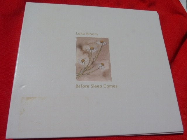 Luka Bloom - Before Sleep comes (UK) zeer schaars op CD!, Cd's en Dvd's, Cd's | Rock, Ophalen of Verzenden, Zo goed als nieuw