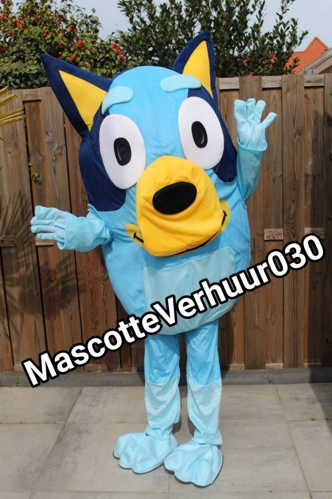 Bluey mascotte pak kostuum met acteur op locatie huren, Ophalen, Verjaardag