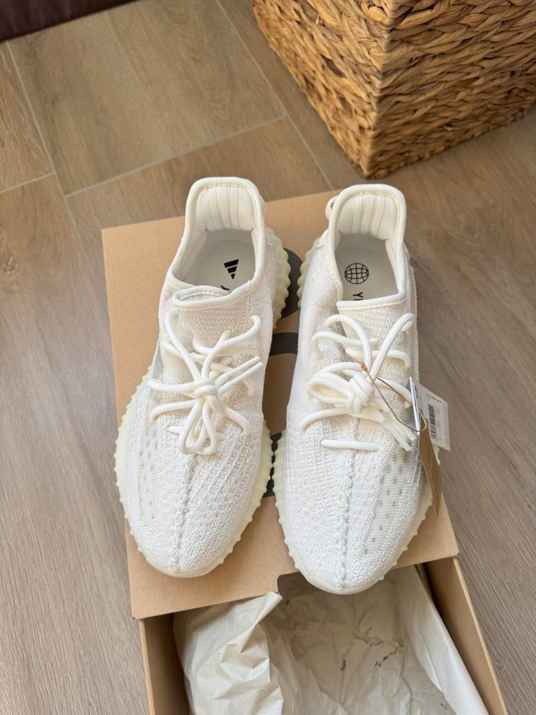 Yeezy 350 V2 bone (42 2/3), Ophalen, Nieuw, Wit, Sneakers of Gympen