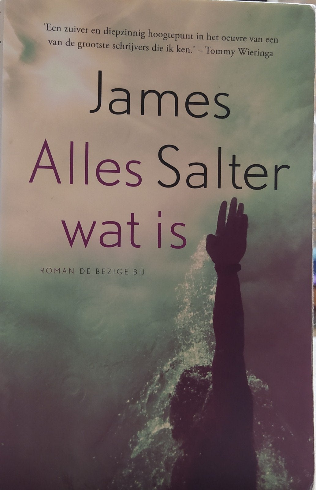 James Salter - Alles wat is (Roman), Boeken, Romans, Gelezen, Amerika, Ophalen of Verzenden