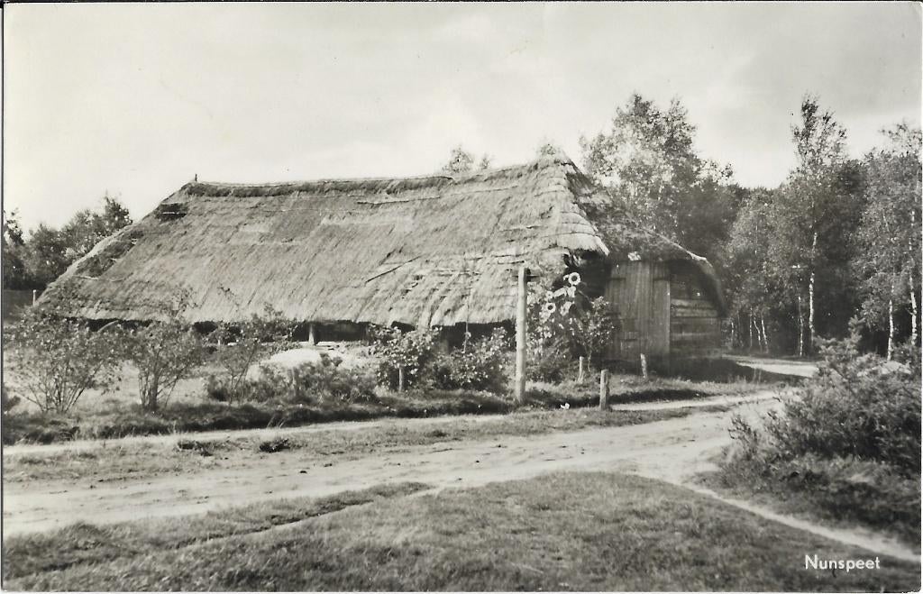 Nunspeet, oude boerderij, rieten dak, Verzenden, 1940 tot 1960, Ongelopen, Gelderland