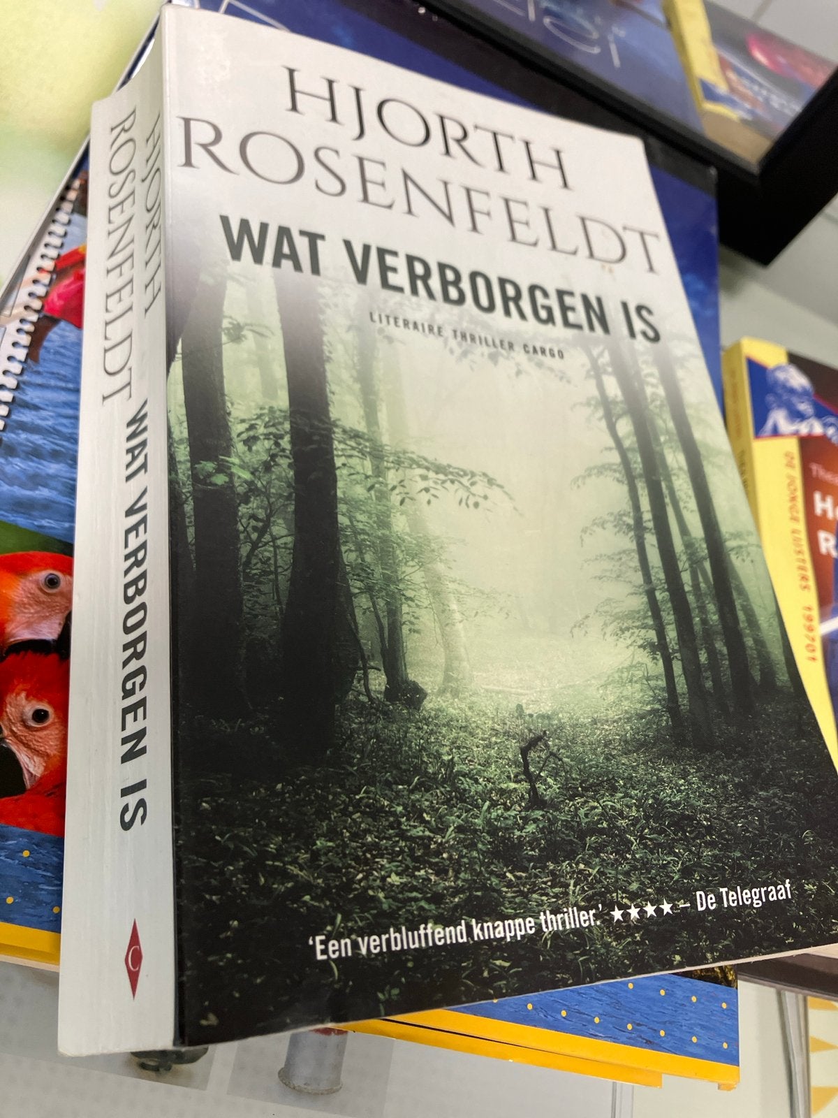 Wat Verborgen Is - Hjorth Rosenfeldt (Thriller), Ophalen of Verzenden, Gelezen, Scandinavië