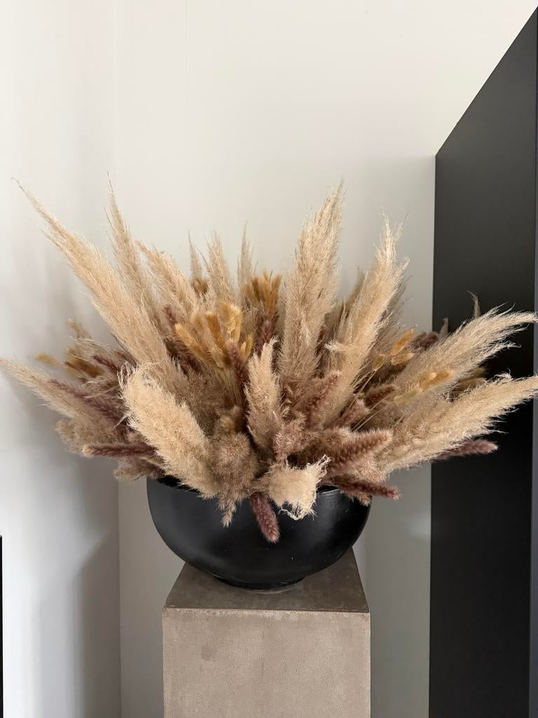 Decoratieve Pampasgras Pluimen in Zwarte Vaas, Beige, Ophalen of Verzenden, Zo goed als nieuw, Natuurlijk materiaal