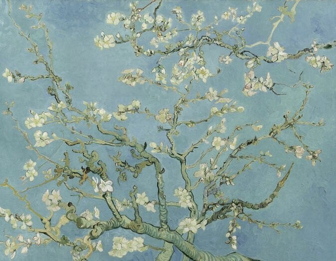 KUNSTBOEK kunstboekencollectie (13x), Boeken, Verzenden, Gelezen