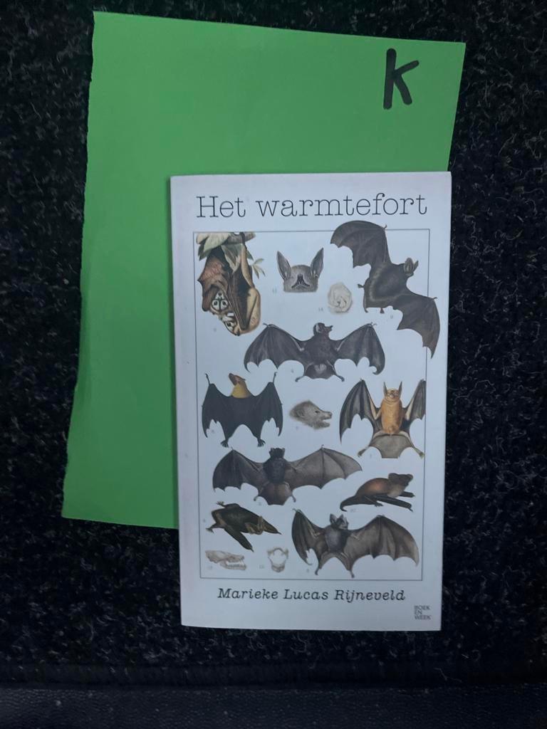 Het warmtefort - Marieke Lucas Rijneveld (Boek), Ophalen of Verzenden, Zo goed als nieuw, Nederland