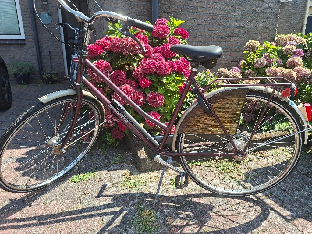Fiets 28 inch, Ophalen, Gebruikt, Terugtraprem, Sparta