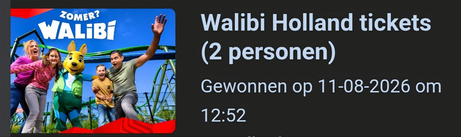 walibi kaarten, Twee personen, Ticket of Toegangskaart