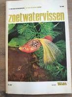 Zoetwatervissen - Plaatjesalbum Rizla, Ophalen of Verzenden, Gelezen, Plaatjesalbum