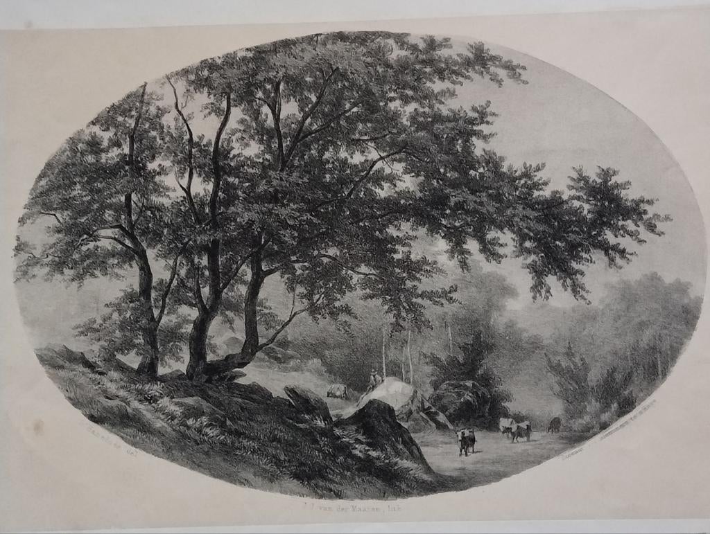 Louwrens Hanedoes prent collectie Kruseman, Ophalen of Verzenden
