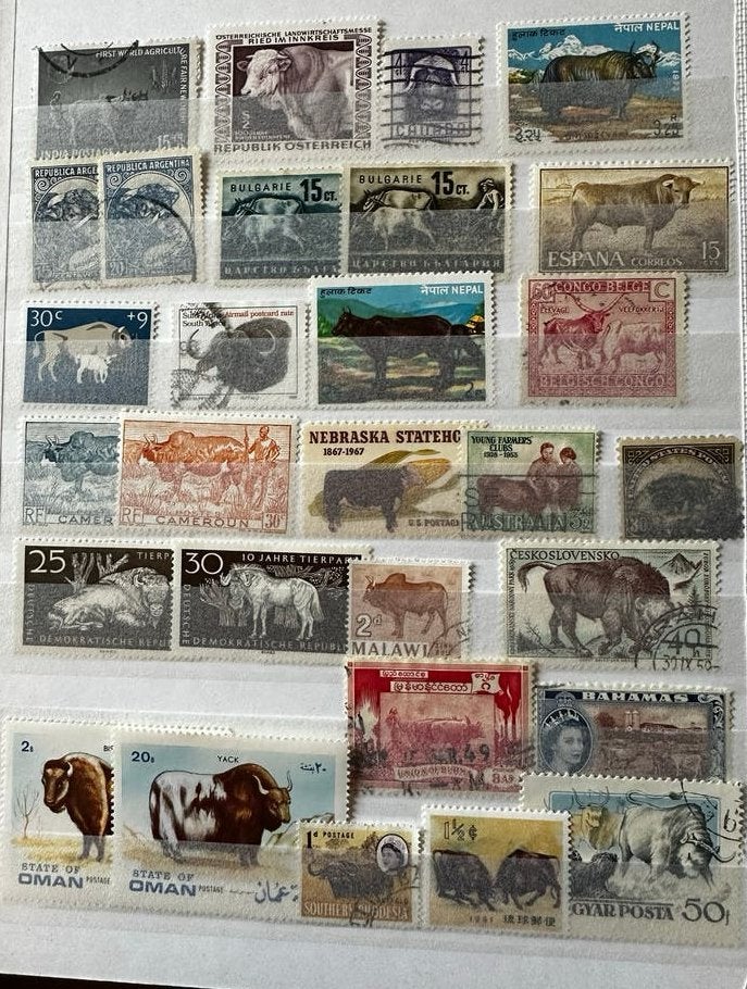 Postzegels: Koeien, Buffels, Yaks uit diverse landen, Ophalen of Verzenden, Dier of Natuur