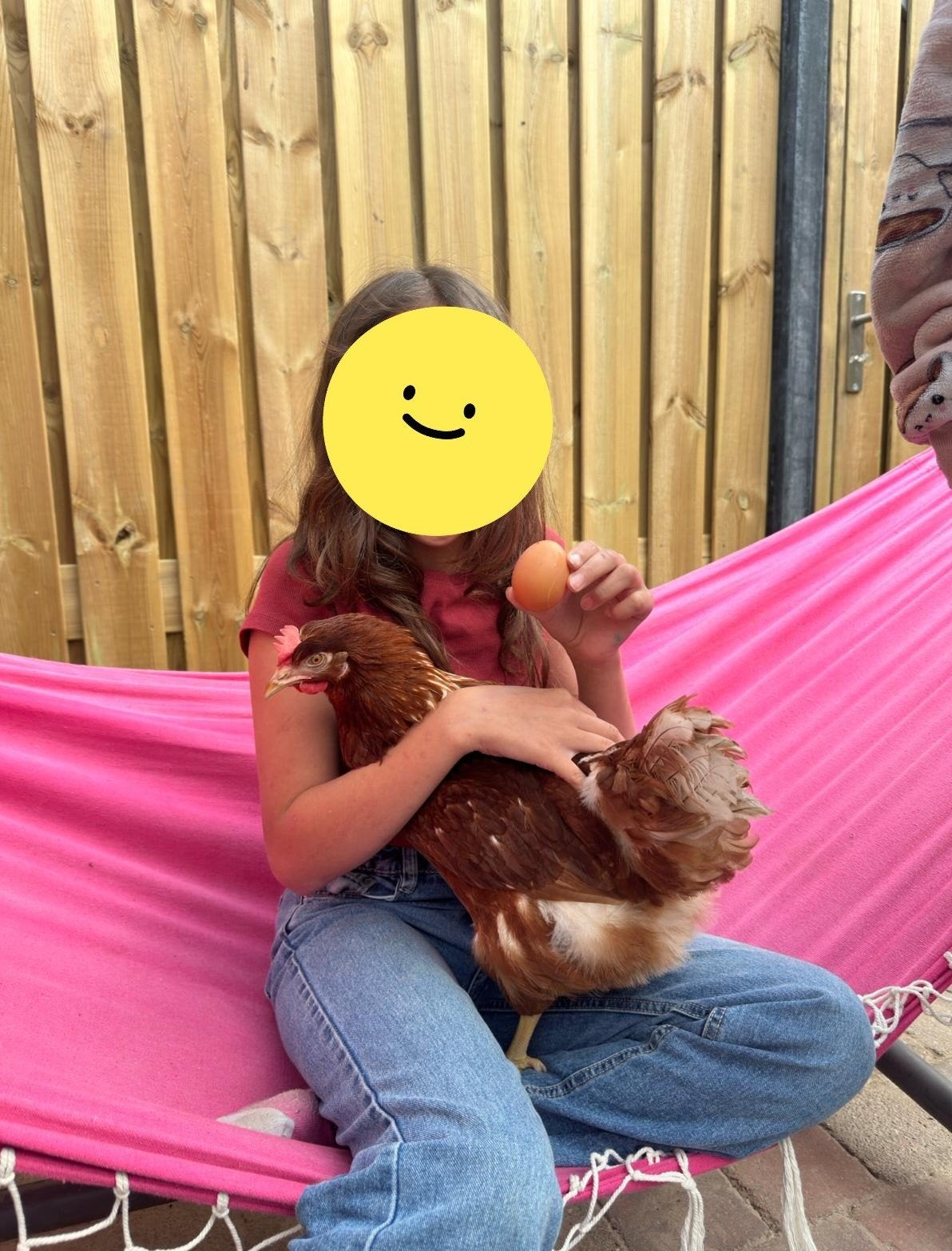 Kip zoekt nieuw huis, Dieren en Toebehoren, Pluimvee, Vrouwelijk, Kip