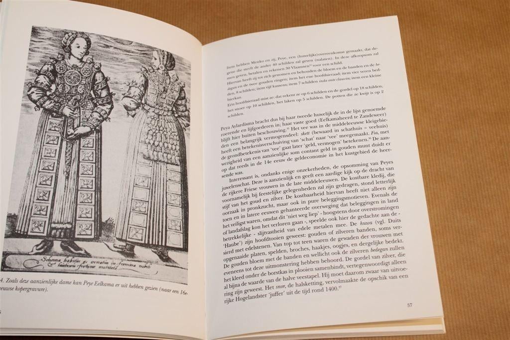 1.000 Jaar Gronings Taallandschap — Cultuurhistorische Studi, Ophalen of Verzenden, Zo goed als nieuw