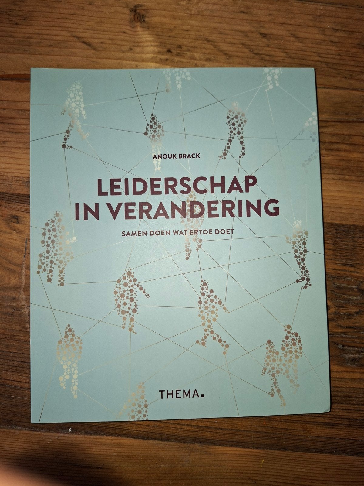 Anouk Brack - Leiderschap in verandering, Boeken, Wetenschap, Zo goed als nieuw, Sociale wetenschap, Ophalen of Verzenden