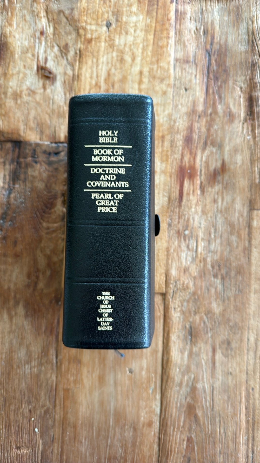 Holy Bible Book of Mormon Doctrine and covenants: Beschadigd, Boeken, Ophalen of Verzenden, Zo goed als nieuw