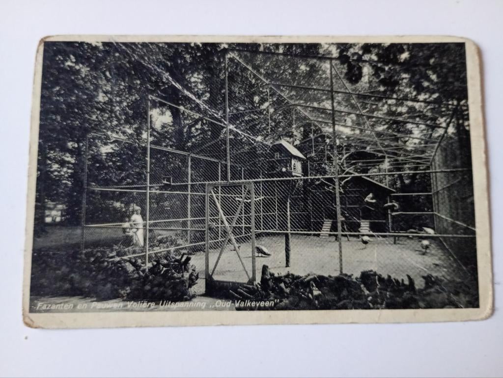Bussum Oud Valkeveen Volière 1935, Ophalen of Verzenden, 1920 tot 1940, Gelopen, Noord-Holland