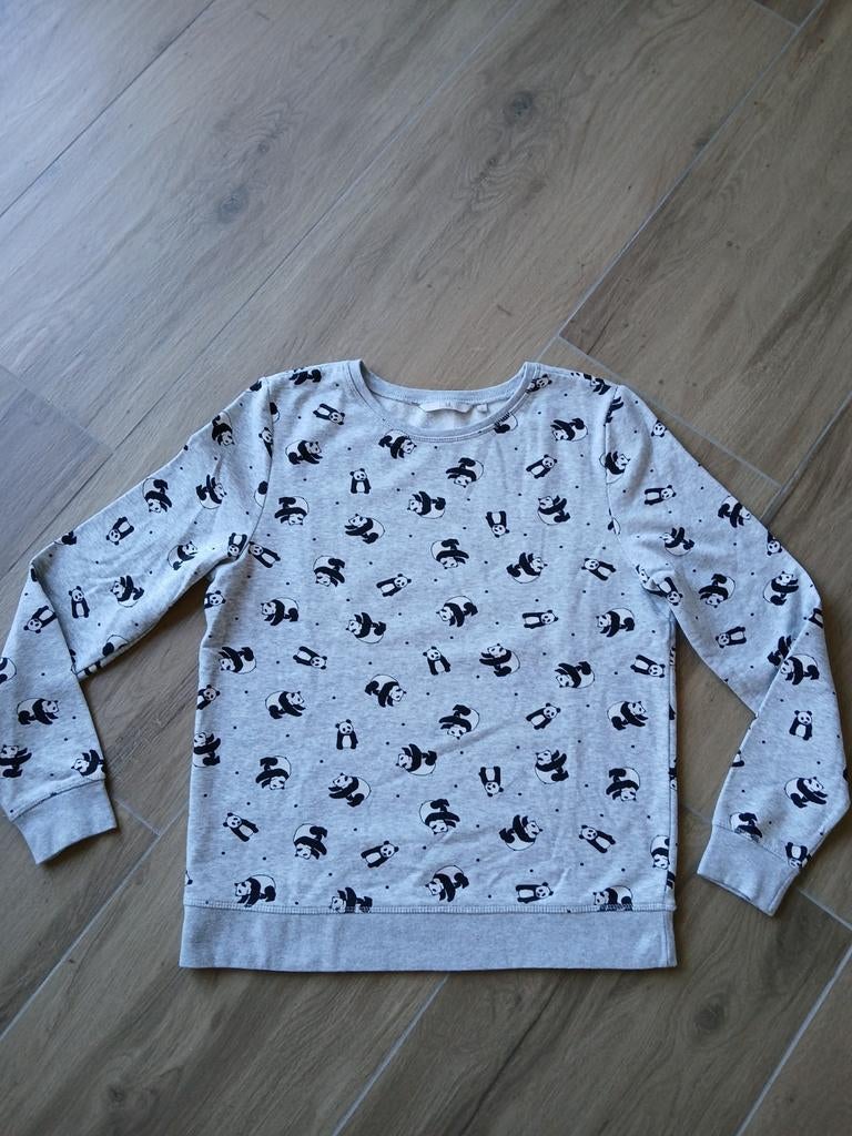 Sweater pandabeer maat L 38/ 40 clockhouse  ZGAN, Ophalen of Verzenden, Zo goed als nieuw