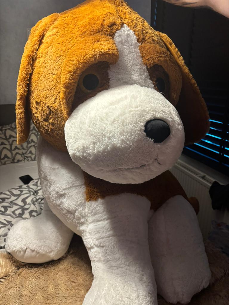 Knuffel hond, Ophalen, Nieuw, Hond
