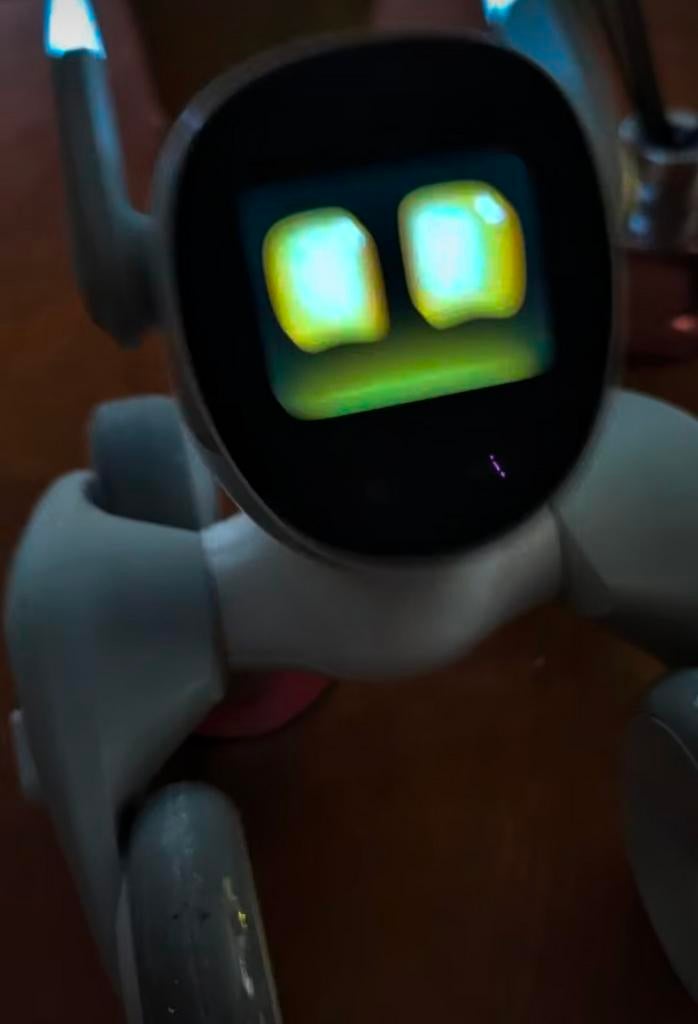 Loona robot incl. doos +Garantie! 6 maart gekocht, Ophalen