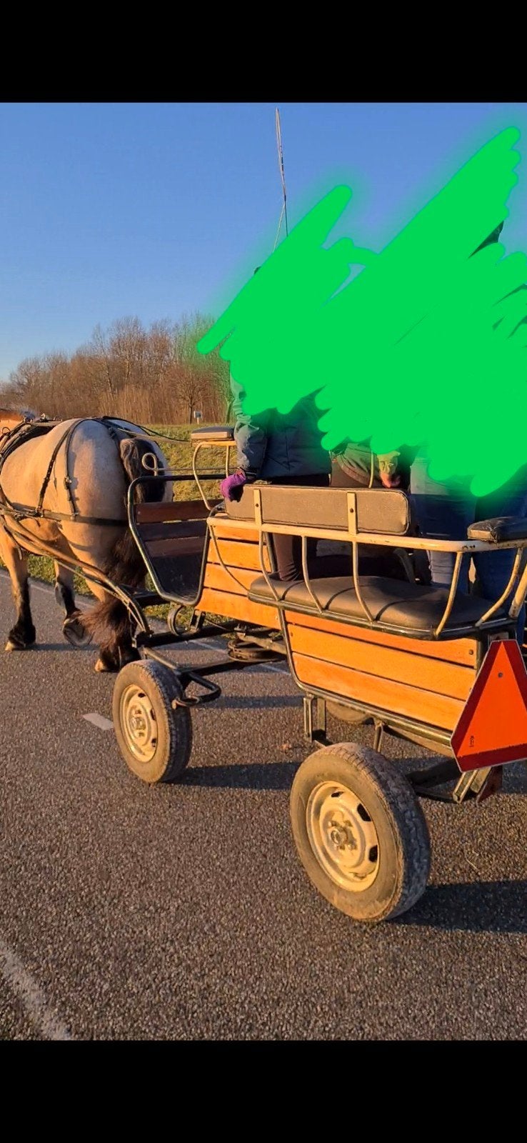 Paarden kar