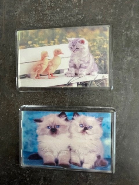 Magneet magneten Poes Kat Eend, x 2, Nieuw, Ophalen of Verzenden, Nieuw, Dier