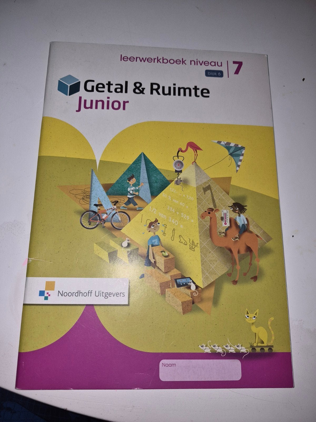 Gelezen leerwerkboek Getal & Ruimte Junior niveau 7, Ophalen of Verzenden, Beta, Zo goed als nieuw, Overige niveaus