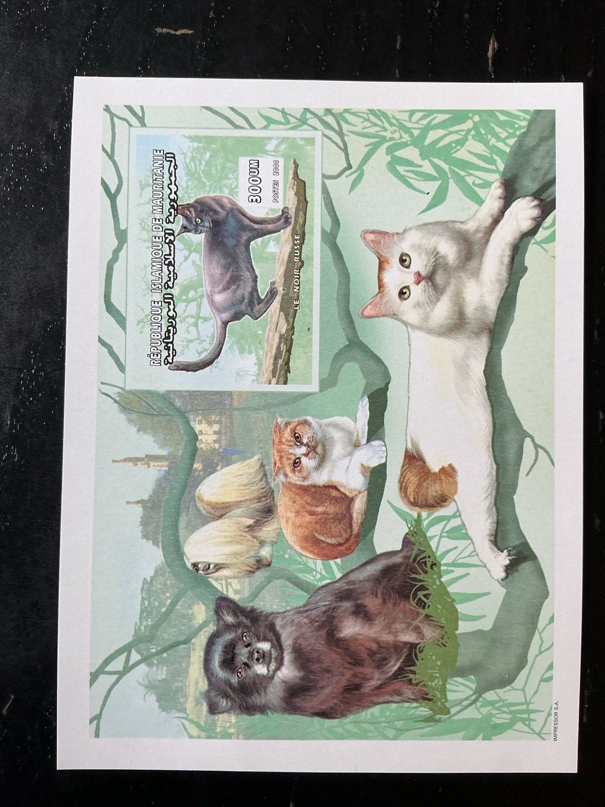 Postzegelvel Mauritanië 2000 - Katten (Le Noir Russe), Ophalen of Verzenden, Postfris, Dier of Natuur