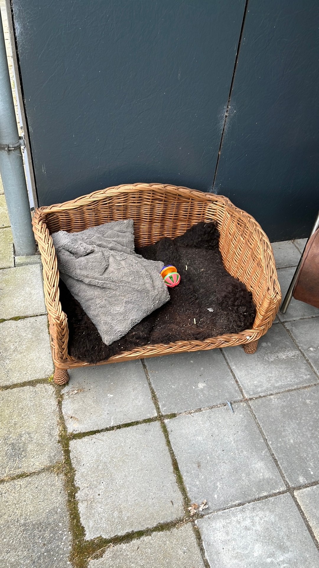 Hondenmand plus hondebens, Dieren en Toebehoren, Ophalen, Gebruikt