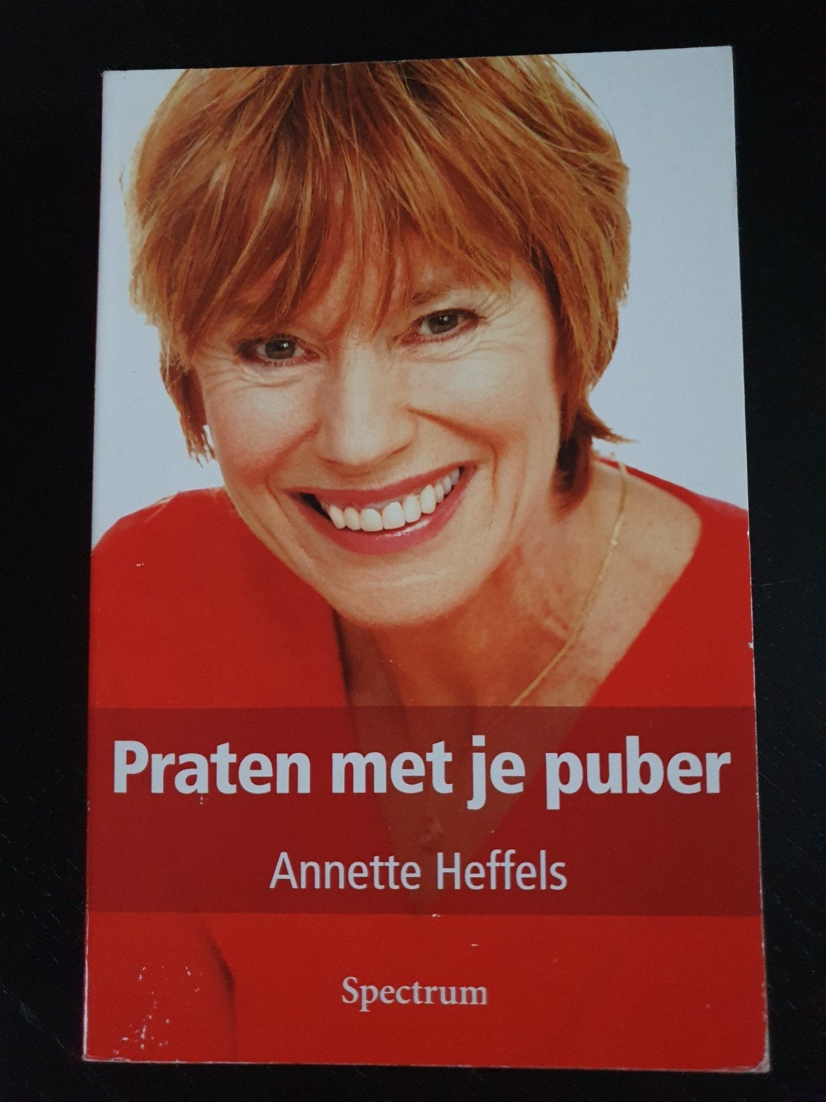 Annette Heffels - Praten met je puber, Ophalen of Verzenden, Zo goed als nieuw, Annette Heffels