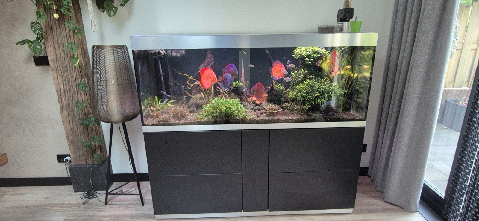 Oase highline 600 aquarium zonder inhoud, Ophalen, Oase, Inclusief deksel, Zo goed als nieuw