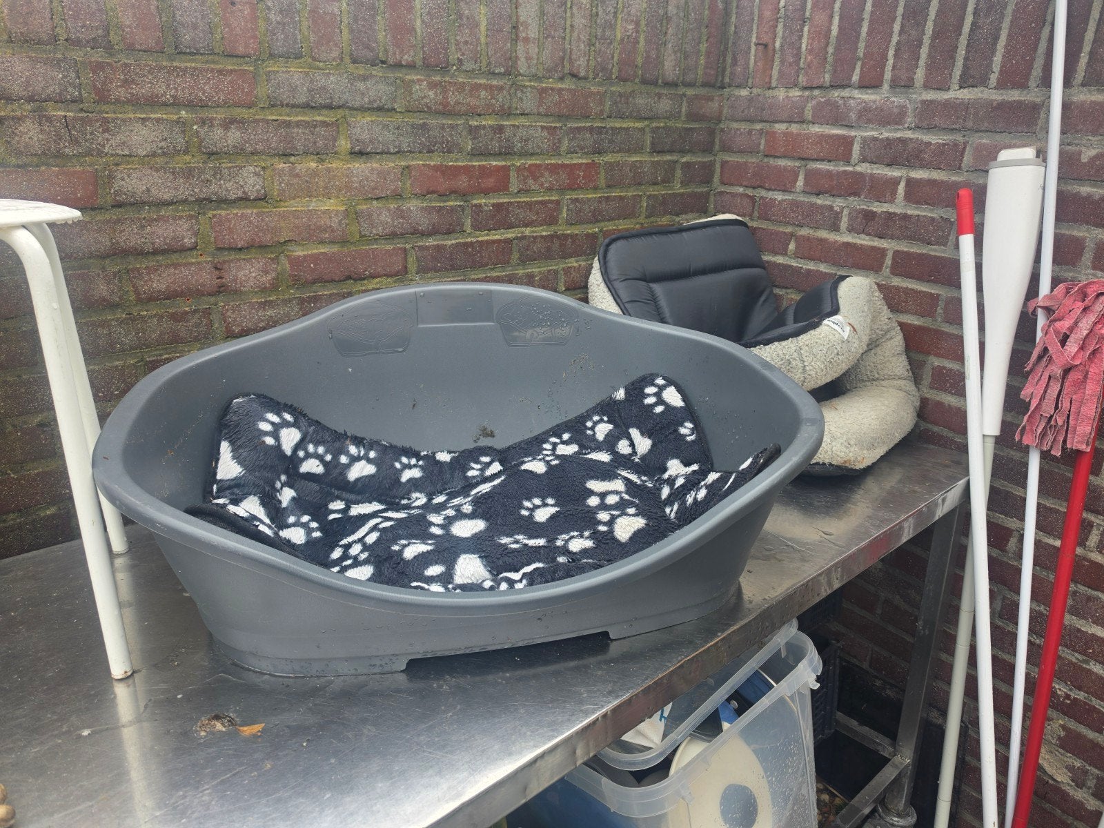 Hondmand, Ophalen