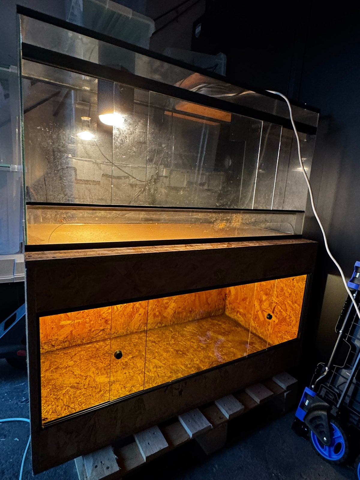 Gebruikte OSB 3 & Glas terrarium te koop. Lees beschrijving, Dieren en Toebehoren, Ophalen, Gebruikt, Terrarium of Paludarium