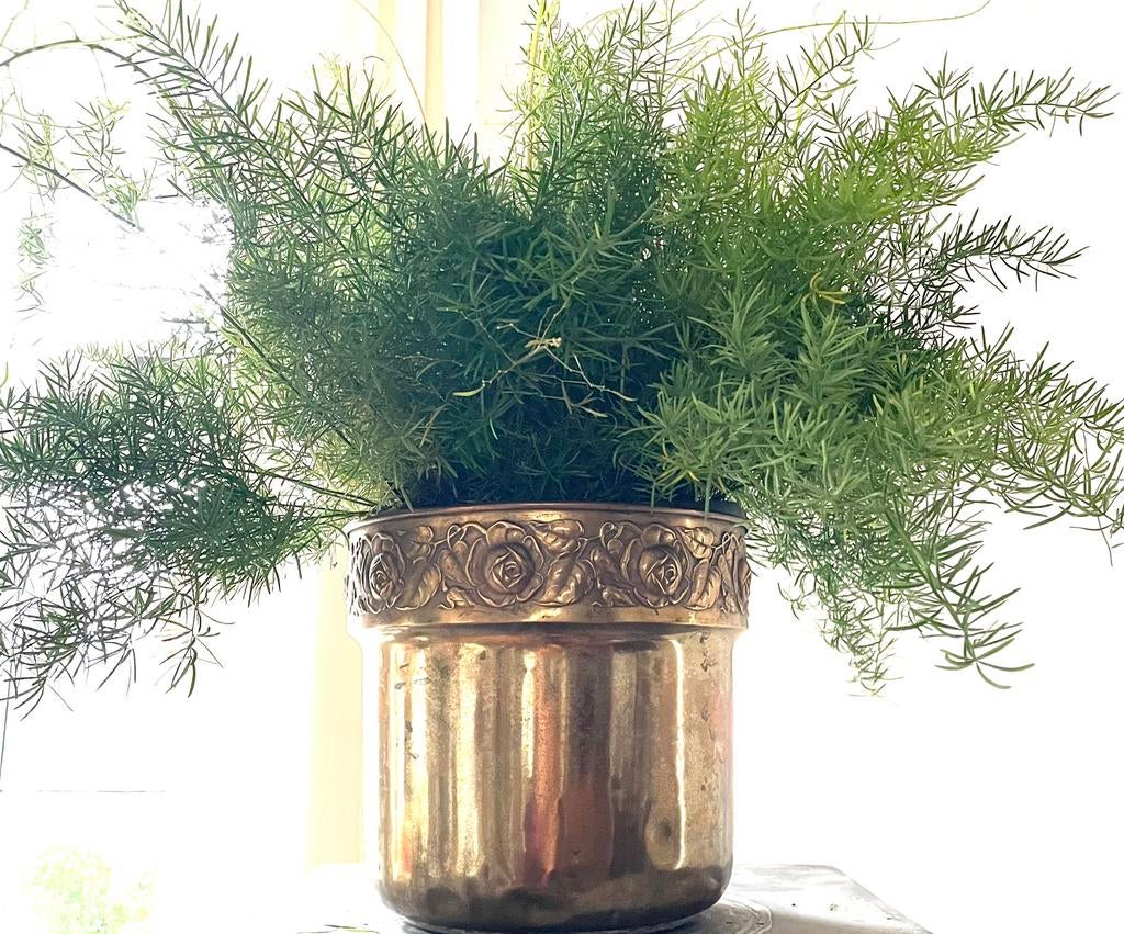 Antieke messing pot  Art Deco / Art Nouveau, Ophalen, Gebruikt
