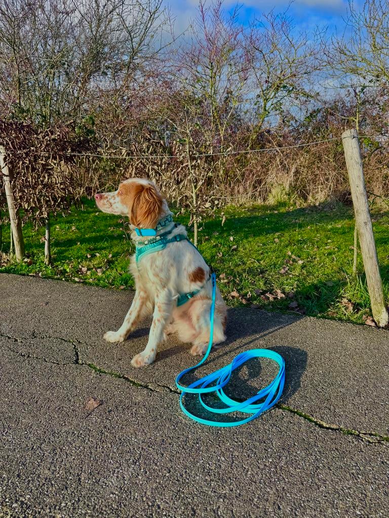 Biothone honden lijnen 5 meter, Dieren en Toebehoren, Ophalen of Verzenden, Nieuw