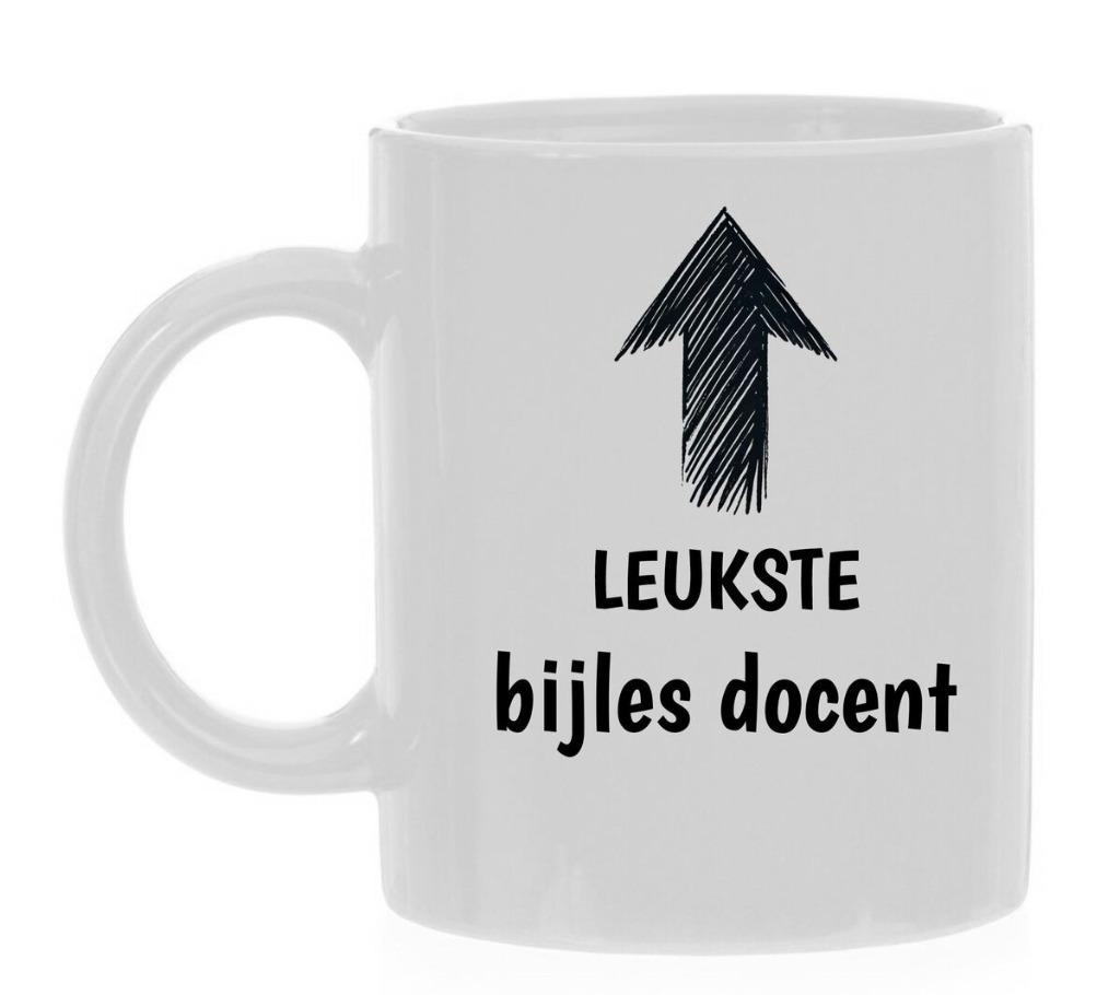 Bijles economie en examentraining, Privéles, Bijles