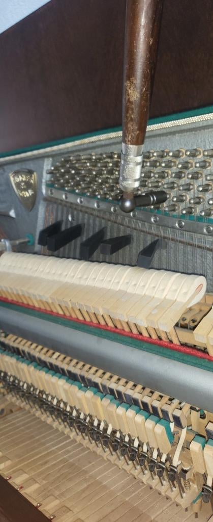 Pianostemmer Nadia Schumacher Piano Service, Komt aan huis, Snaarinstrumenten