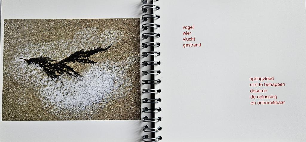 Foto 7 van gedichten foto's inspiratie overdenking ansichtkaarten