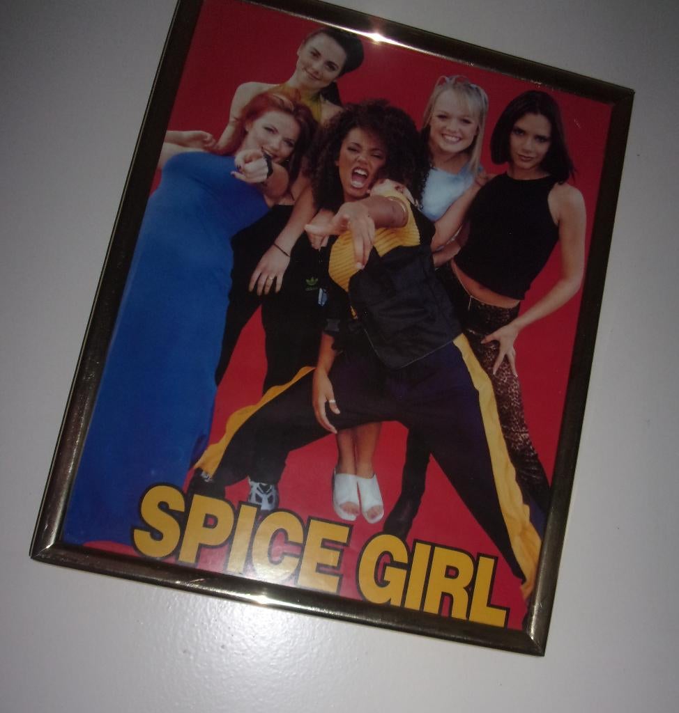 Fotoschilderij Spice Girls, Ophalen, Minder dan 50 cm, Zo goed als nieuw, Schilderij