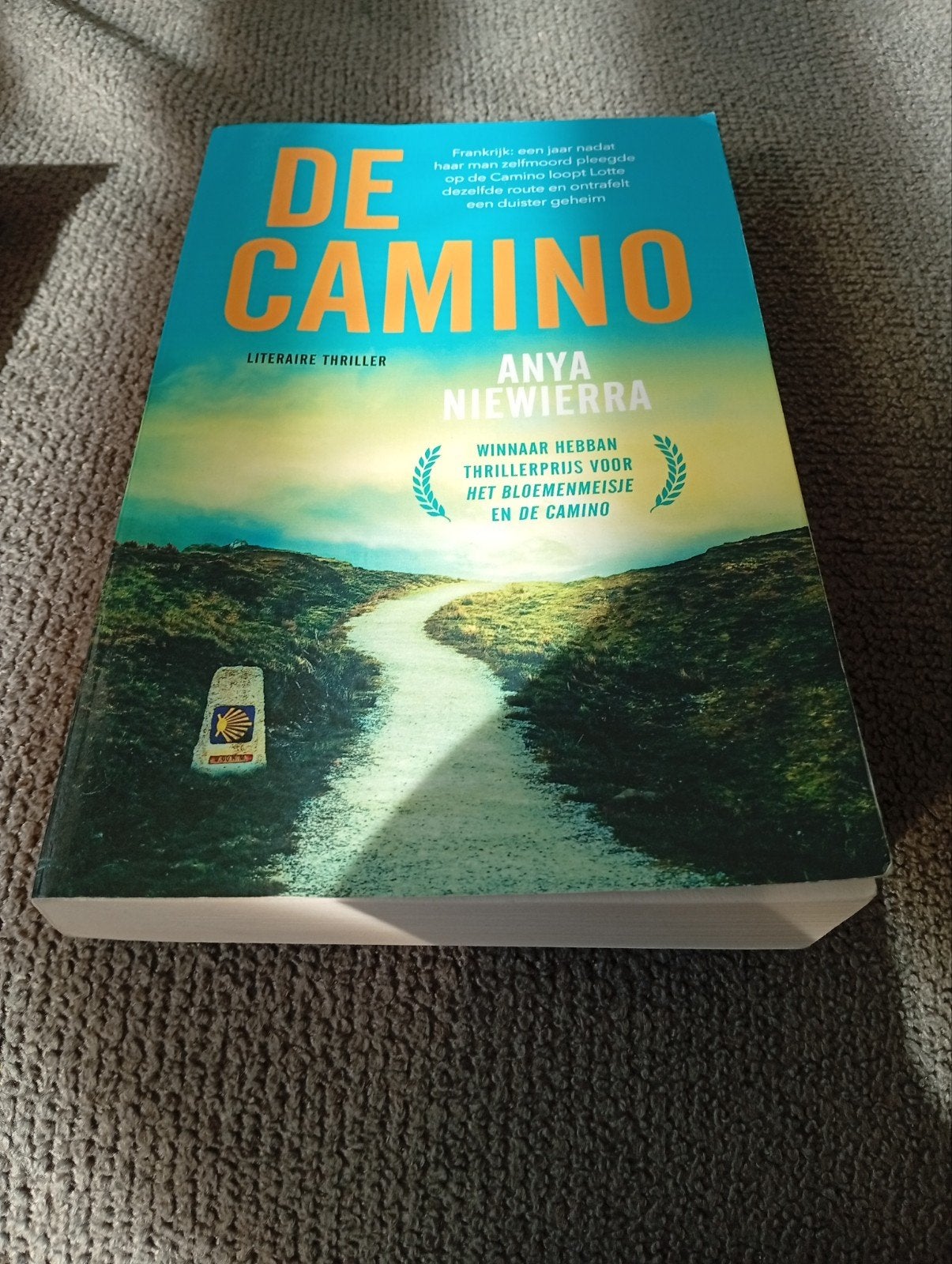 De Camino - Literaire thriller van Anya Niewierra, Ophalen of Verzenden