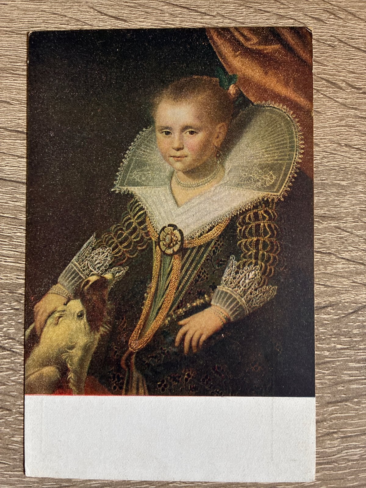 Oude briefkaart: Portret van een meisje met hond, Ophalen of Verzenden, Voor 1920, Gelopen