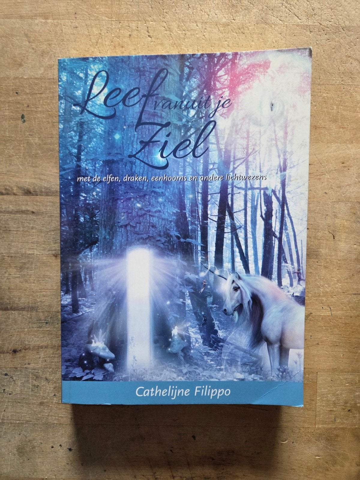 Leef vanuit je Ziel - Cathelijne Filippo, Verzenden, Zo goed als nieuw, Spiritualiteit algemeen