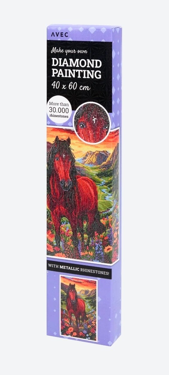 GEZOCHT deze 2 diamond paintings, om nog te maken., Ophalen of Verzenden, Nieuw, Knutselwerk