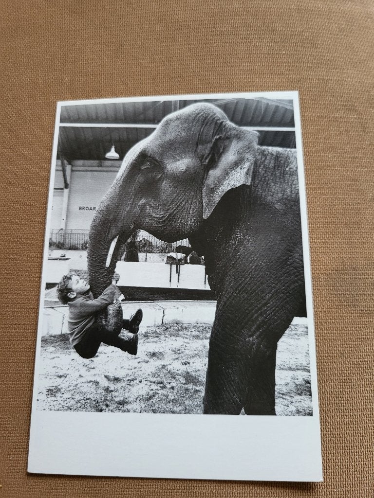 Circus/ themakaarten van circusolifanten., Ophalen of Verzenden, 1980 tot heden, Ongelopen, Overige thema's