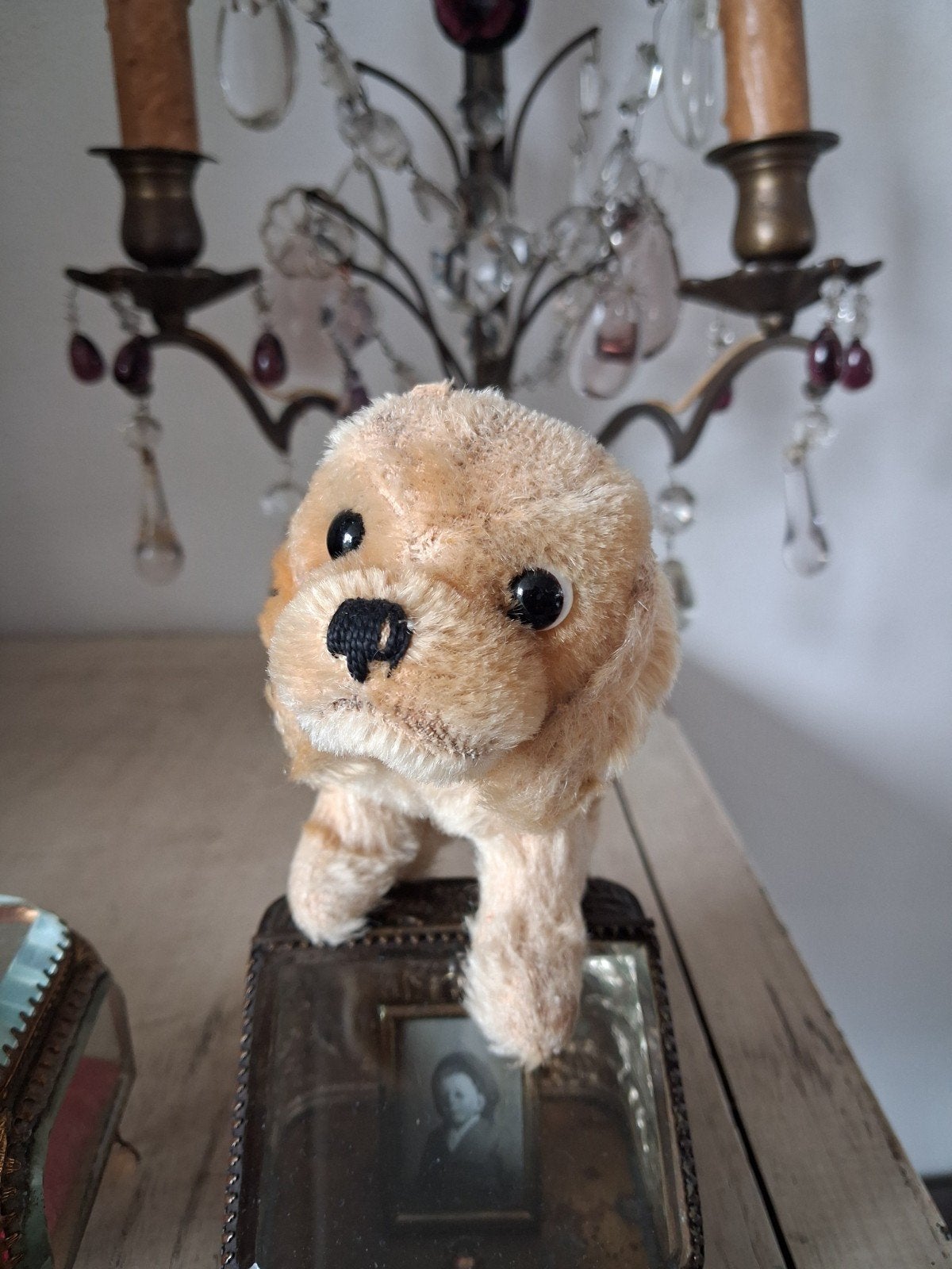 OUD   ......  STROGEVULD   ...  HONDJE  !!!, Ophalen of Verzenden, Gebruikt