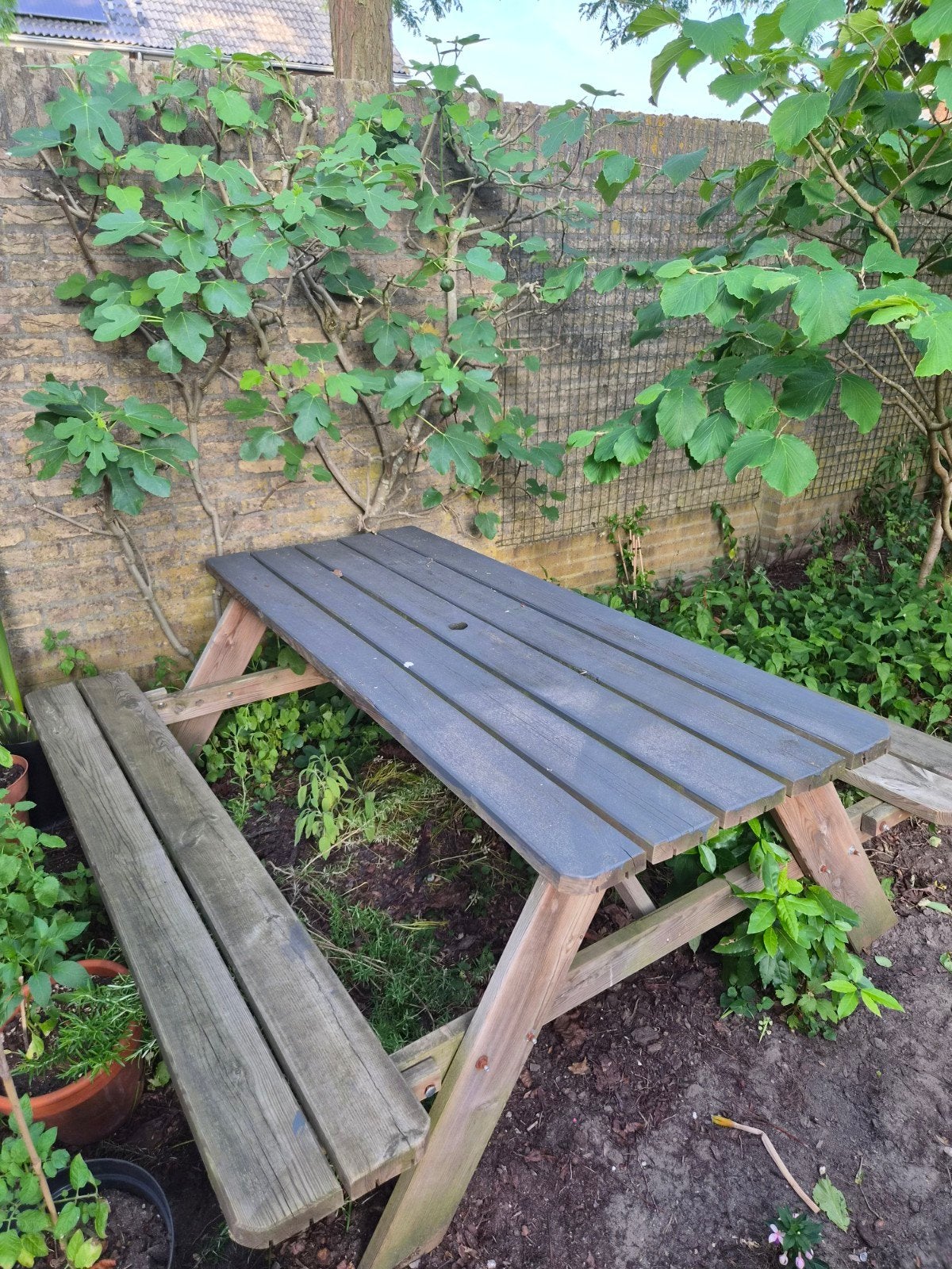 Picknick tafel, Tuin en Terras, Picknicktafels, Ophalen, Rechthoekig, Hout