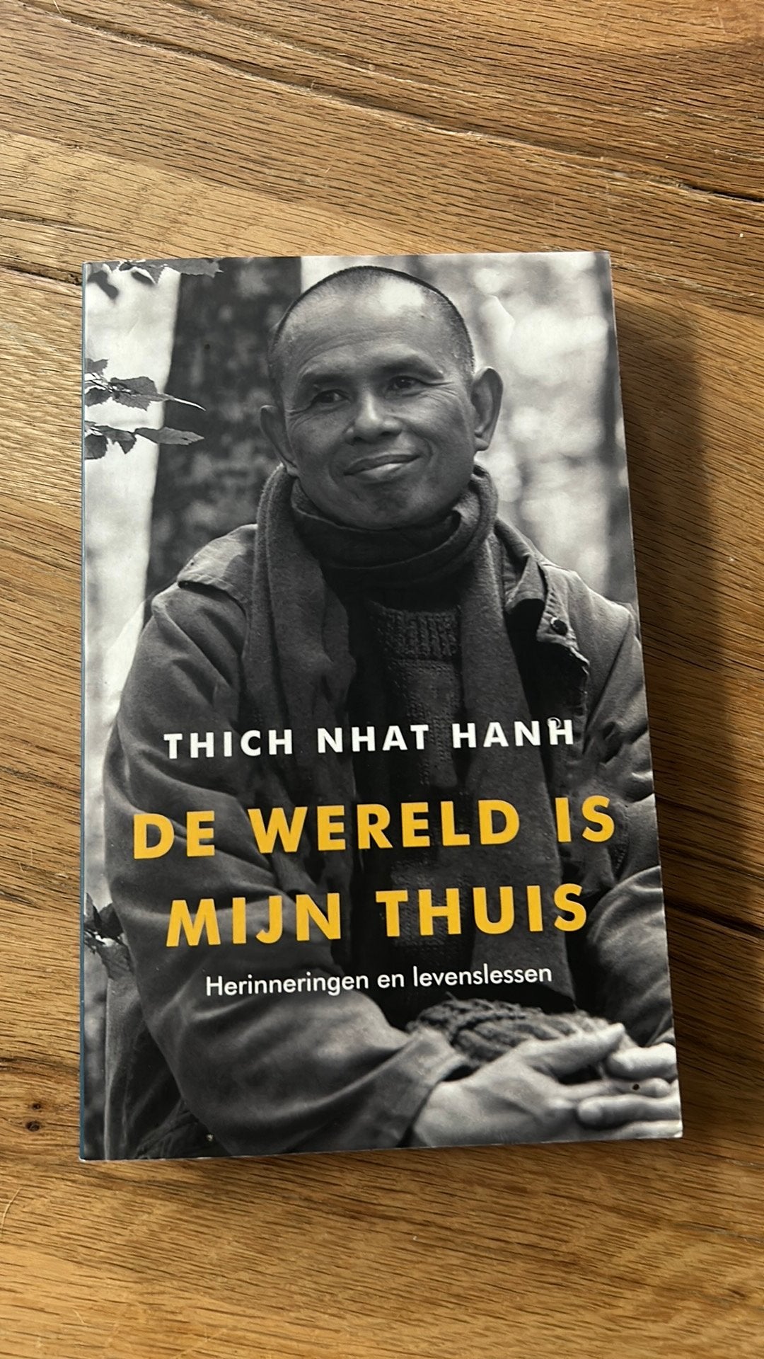 Thich Nhat Hanh - De wereld is mijn thuis, Boeken, Thich Nhat Hanh, Ophalen of Verzenden, Zo goed als nieuw, Boeddhisme