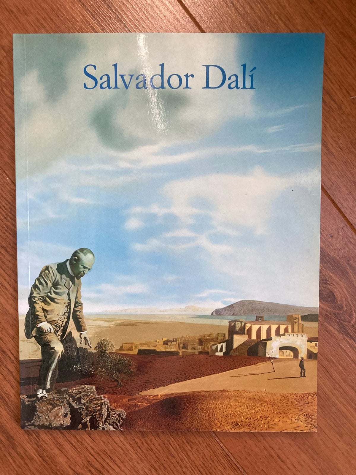 Salvador Dalí Kunstboek - Zo goed als nieuw, Boeken, Kunst en Cultuur | Beeldend, Zo goed als nieuw, Schilder- en Tekenkunst, Ophalen of Verzenden