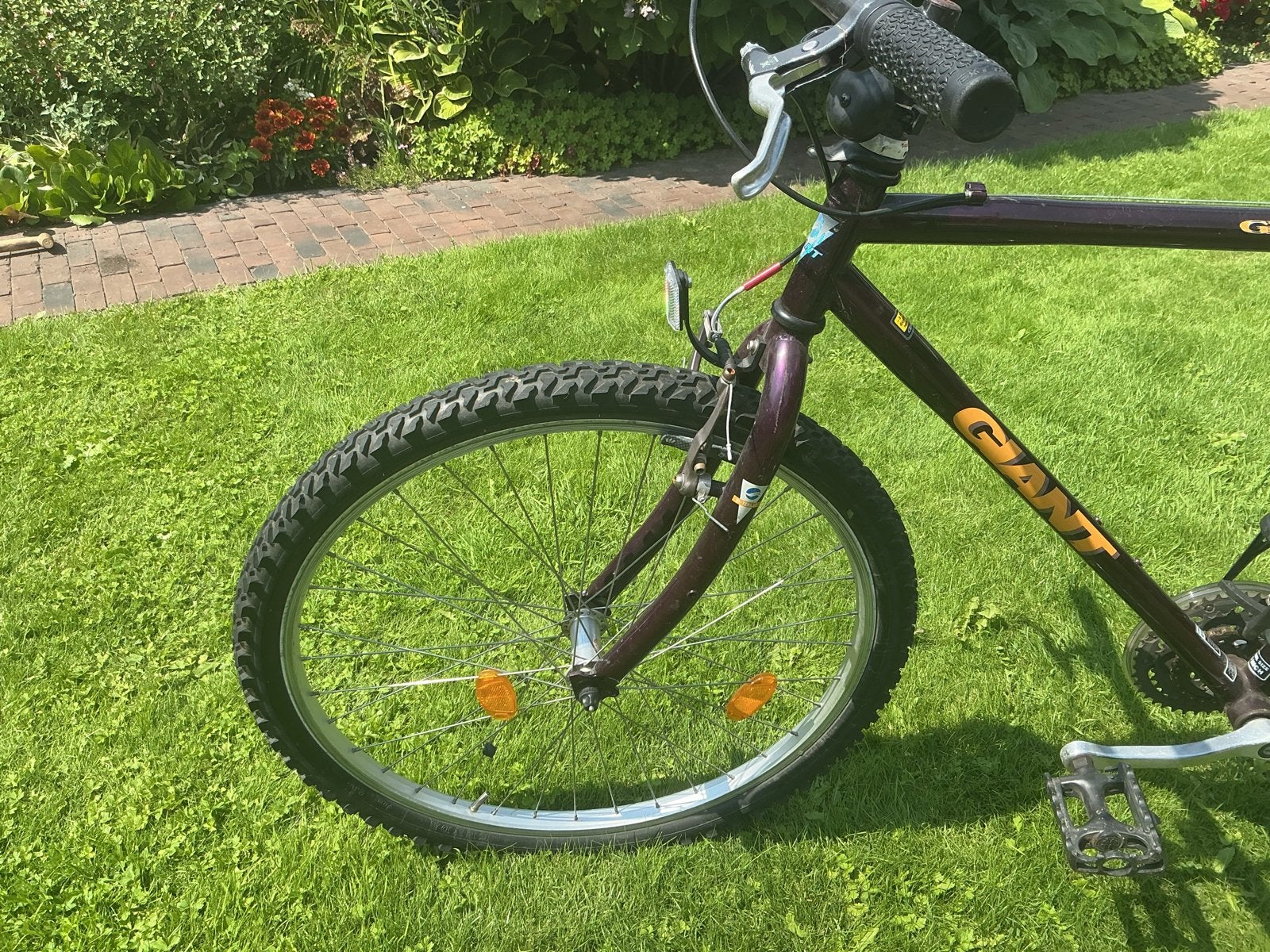 Gigant granie, Geen vering, Ophalen of Verzenden, Heren, Giant