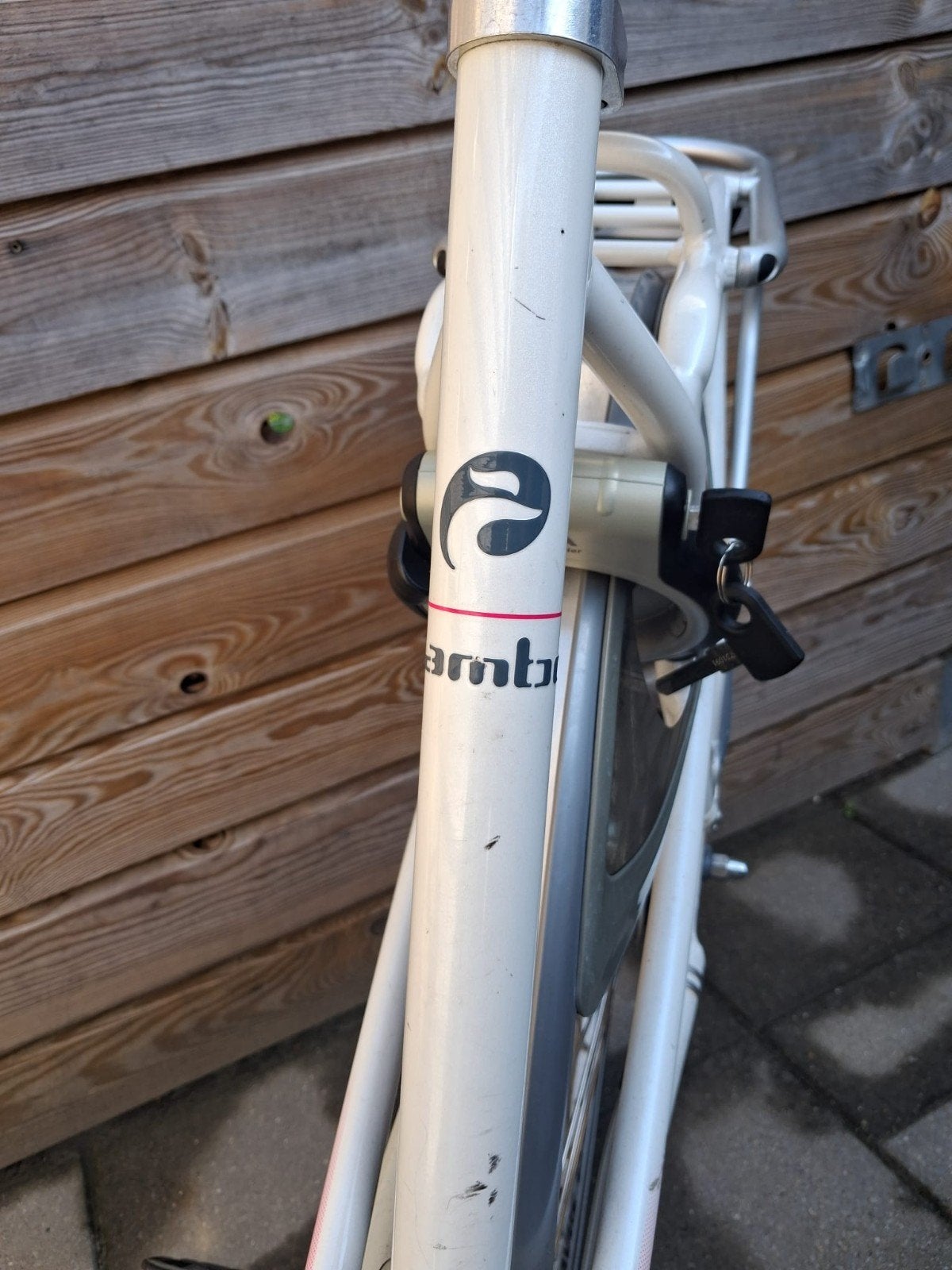 Foto 4 van Damesfiets Batavus Mambo