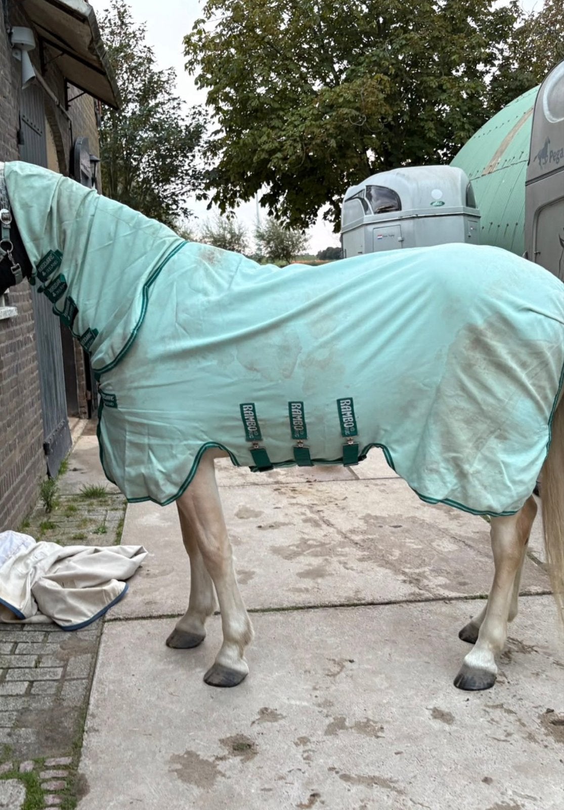 Horseware amigo exceem deken met  nieuwe liner, Ophalen, Zo goed als nieuw, Overige disciplines