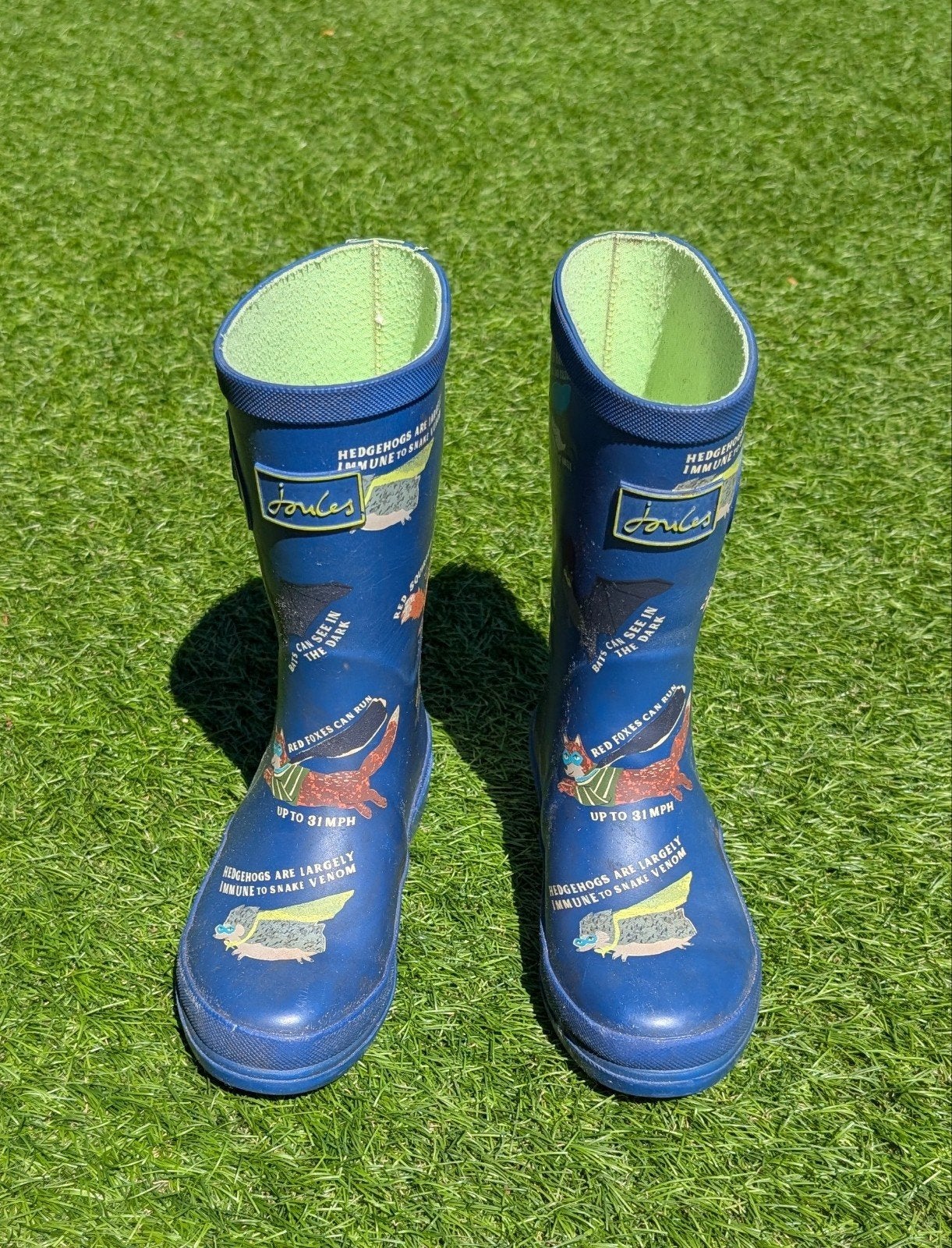 Joules regenlaarzen maat 32, Ophalen of Verzenden, Jongen of Meisje, Laarzen